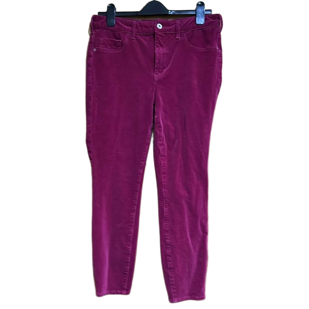 Pilcro by Anthropologie High-Rose Skinny Velvet Corduroy Pants Size 31/12 - EUC